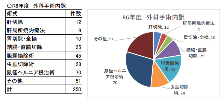 外科手術内訳のグラフ。肝切除12件、肝局焼灼両方9件、胃切除・全摘10件、結腸・直腸切除25件、胆嚢摘除術45件、虫垂切除術28件、鼠径ヘルニア根治術70件、その他51件、合計250件