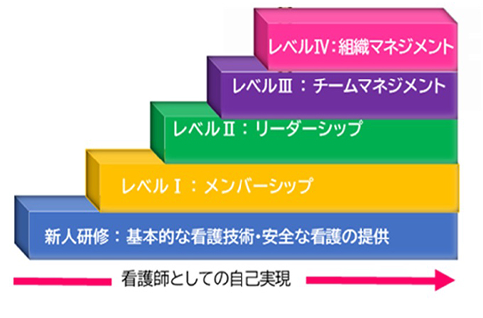 キャリア開発ラダーシステム図