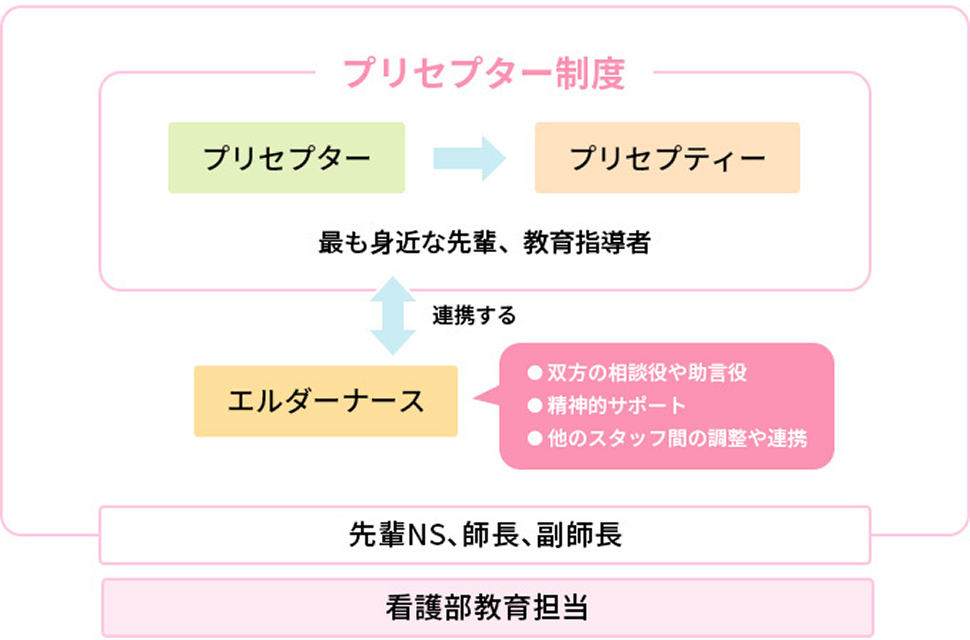 プリセプター制度：プリセプター（最も身近な先輩、教育指導者）からプリセプティーへ指導・教育を行う制度。プリセプターはエルダーナース（双方の助言役・精神的サポート・他のスタッフ間の調整や連携）と連携を行う。さらには先輩ナースや師長・副師長も含め、部署全体で支援を行う。