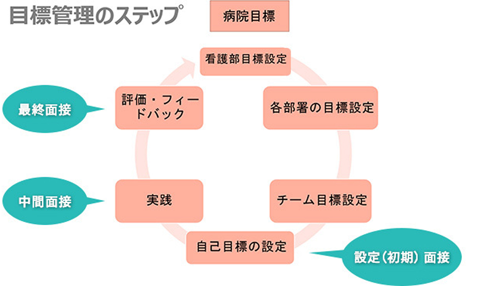 目標管理のステップを示す図。初期・中間・最終の3段階の面接を軸に、病院目標の設定から個人の目標設定・実践・評価までの流れを円形に示している。「設定（初期）面接」で病院目標からチーム・自己目標を設定し、中間面接で進捗を確認しながら実践を行い、最終面接で評価・フィードバックを行う一連のサイクルが表されている。